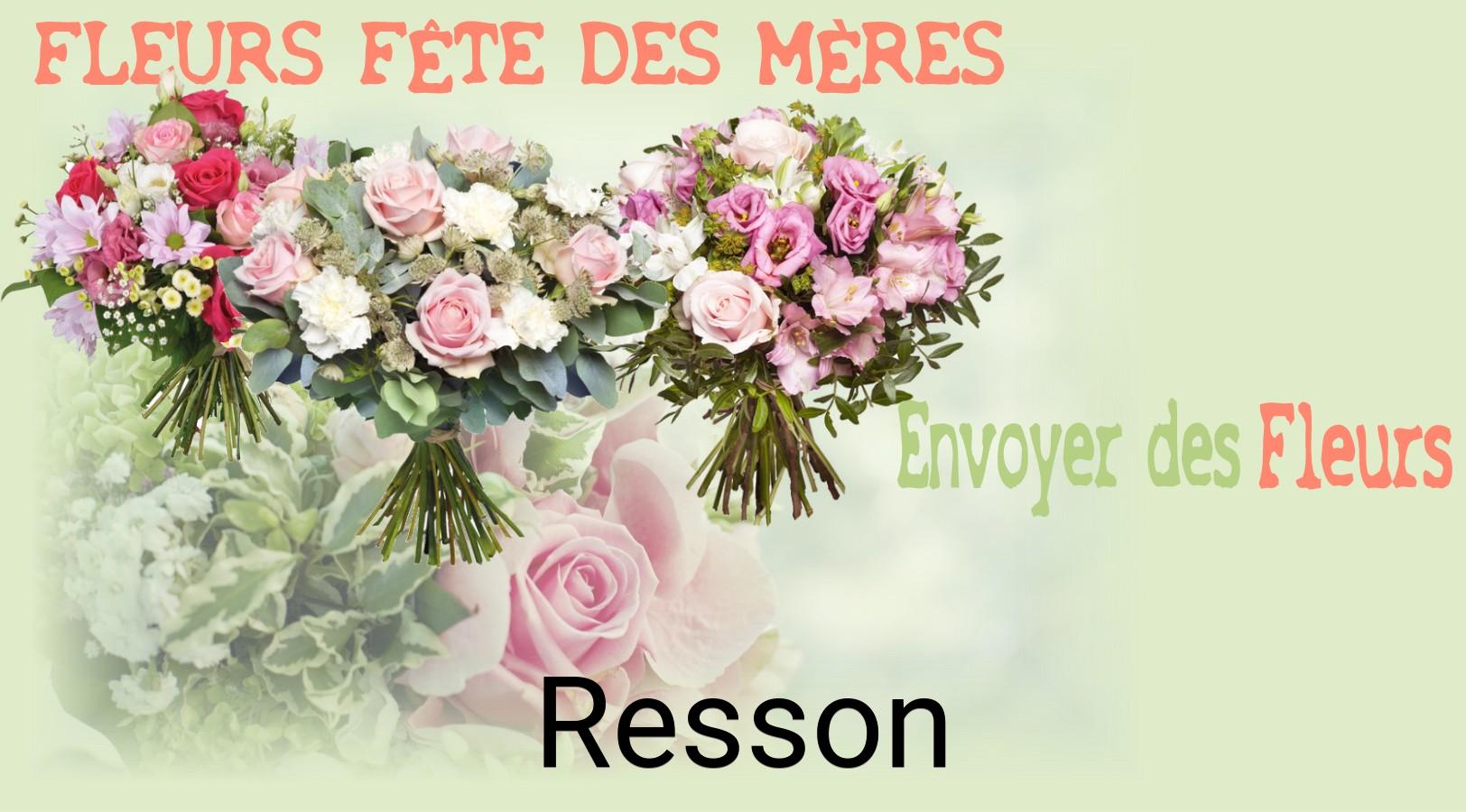 Bouquet de Fête des Mères livré à Resson